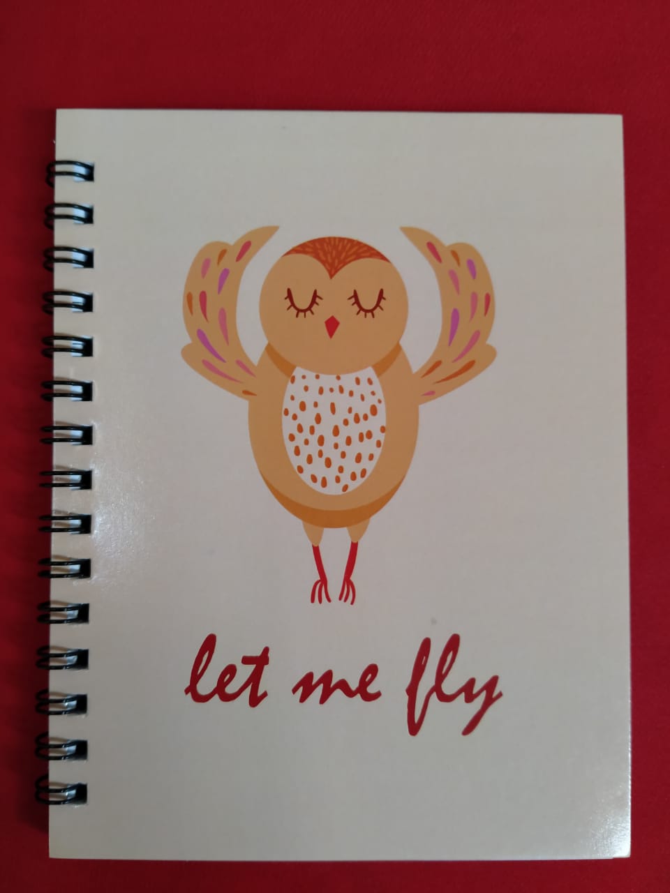 notebook-let-me-fly