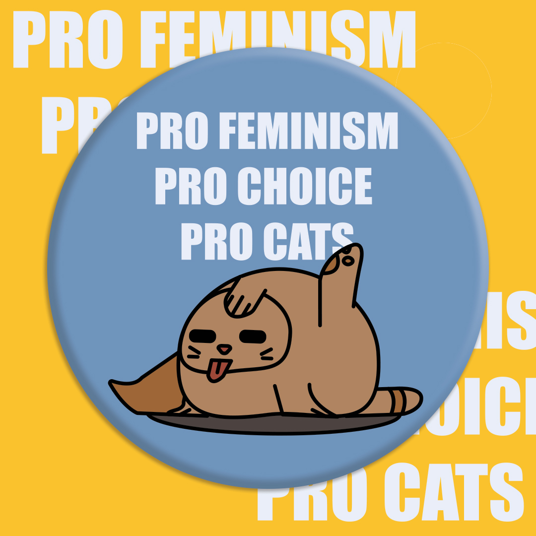 pro-feminism