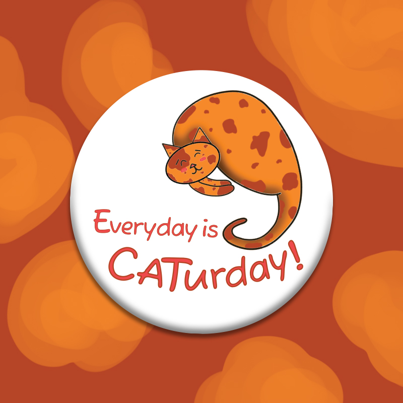 everyday-is-caturday